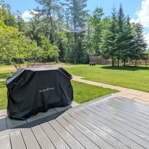 Notre location de vacances à Eagle River dispose d'une vaste pelouse offrant un espace sûr et amusant pour que les enfants puissent jouer en plein air au bord du lac.